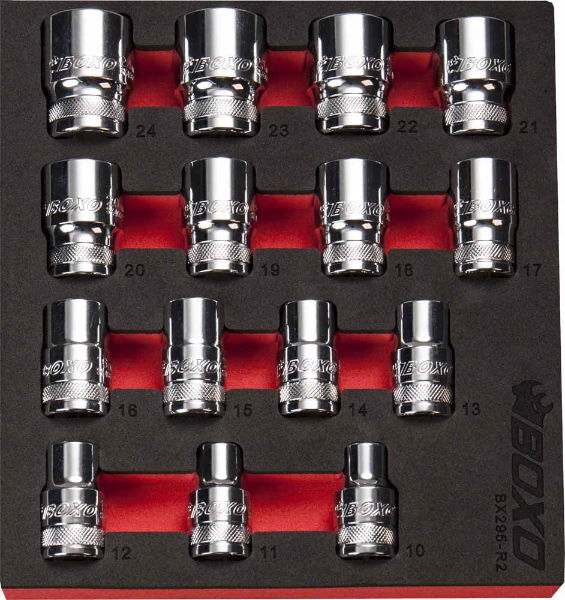 BX295-R2 01